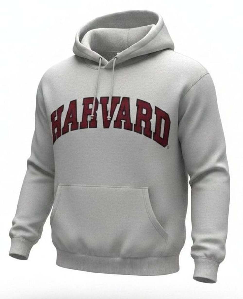 Vintage Ritchie's Sportswear Harvard University Gray Collegiate Hoodie Medium